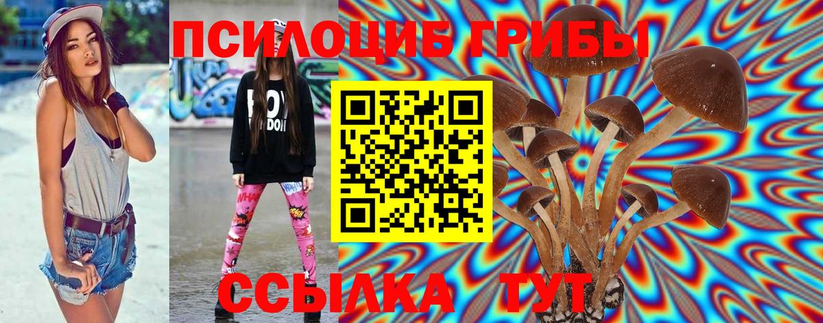 Галлюциногенные грибы MAGIC MUSHROOMS Ревда